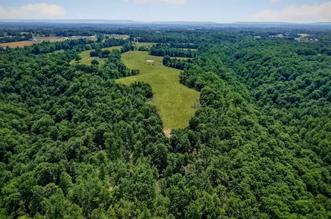 View/Area - 8495 Baxter Rd, Baxter, TN 38544 photo 7 of 8