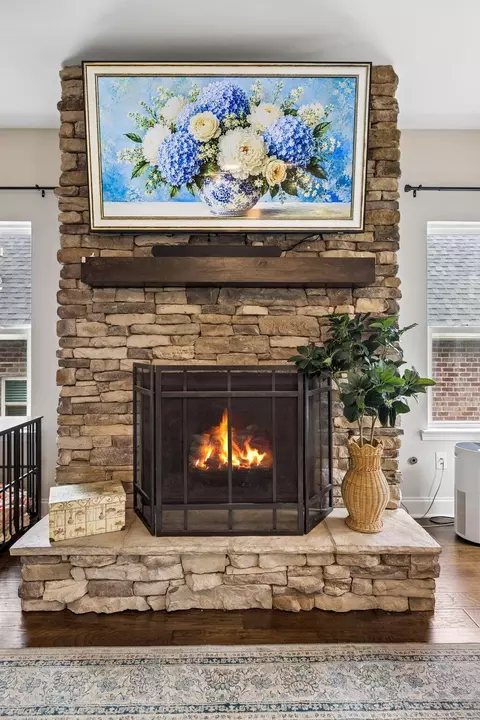 Living - 1648 Buttonwood Loop, Chattanooga, TN 37421 photo 1 of 1