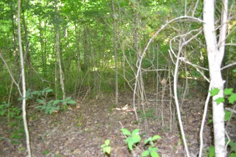 0 Dynamite Ln, Livingston, TN 38570