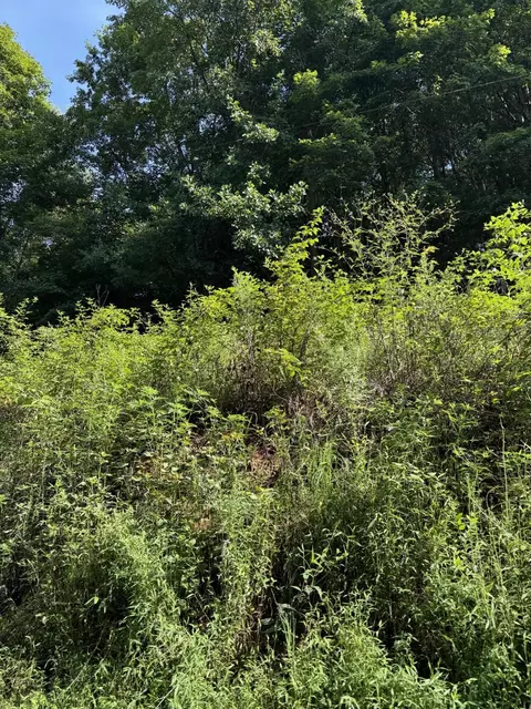 115 Hughes Hollow Rd, Ten Mile, TN 37880