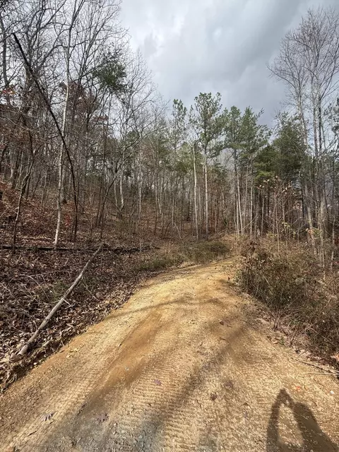2 Parksville Rd, Benton, TN 37307