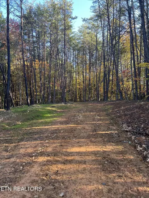 120 Maple Springs Rd, Tellico Plains, TN 37385