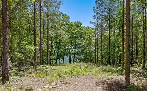 1266 Yaki Pt, Guild, TN 37340 photo 9