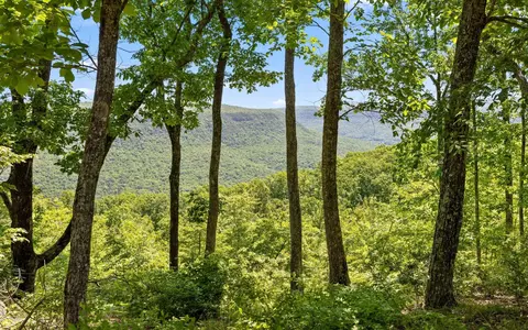 1266 Yaki Pt, Guild, TN 37340 photo 10