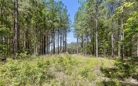1266 Yaki Pt, Guild, TN 37340 photo 11