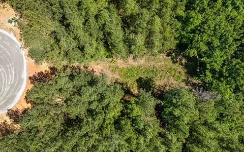 1266 Yaki Pt, Guild, TN 37340 photo 5
