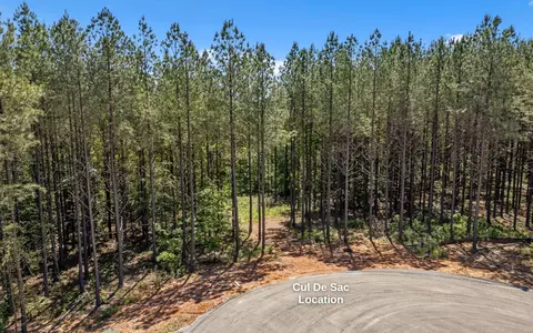 1266 Yaki Pt, Guild, TN 37340 photo 6