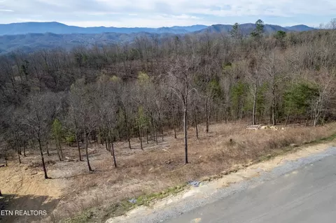 102 Laurel Cove Tr, Sevierville, TN 37862