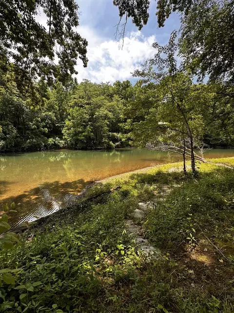 238 Texas Bottom Ln, Hohenwald, TN 38462