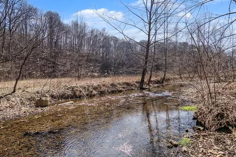 0 Ribbon Branch Rd, Dover, TN 37058