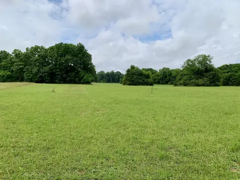 1 Rucker Rd, Christiana, TN 37037
