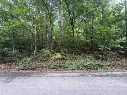0 Caney Branch Rd, Stewart, TN 37175