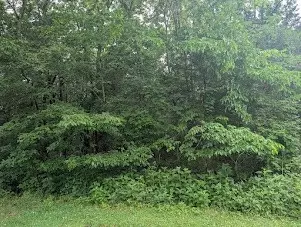 171 Echols Rd, Elora, TN 37328