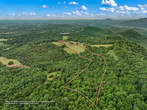 1839 Promiseland Rd, Blaine, TN 37709