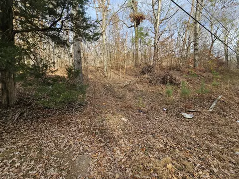 7 Smyrna Rd, Evensville, TN 37332