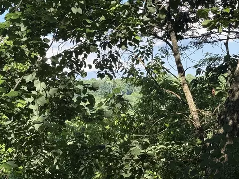 214 Middle Ridge Rd, Beersheba Springs, TN 37305