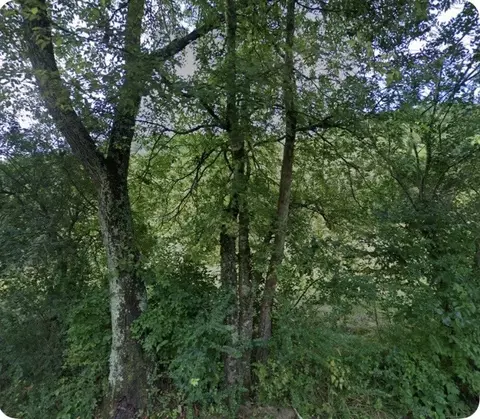 5034 Seymour Hollow Rd, Whites Creek, TN 37189