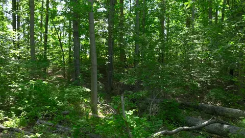 0 Oak Hl, Lyles, TN 37098