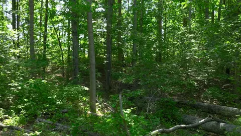 0 Oak Hl, Lyles, TN 37098