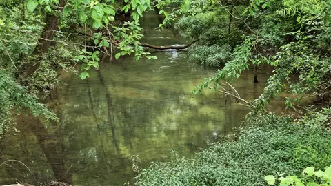0 Hickory Grove Rd, Morrison, TN 37357 photo 3