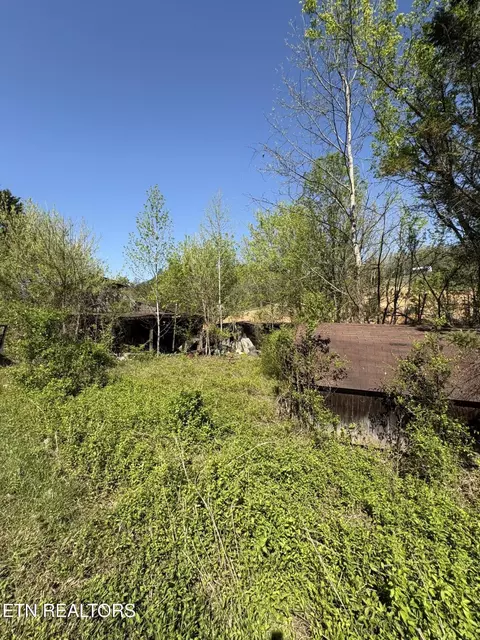 3755 Richardson Cove Rd, Sevierville, TN 37876