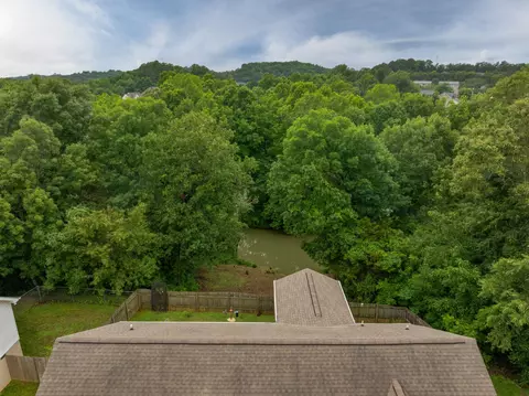 View/Area - 562 Bluff View Dr, Ringgold, GA 30736 photo 2 of 5
