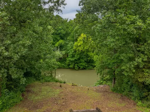 View/Area - 562 Bluff View Dr, Ringgold, GA 30736 photo 4 of 5