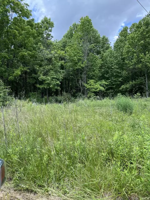 349 Fire Tower Rd, Tracy City, TN 37387