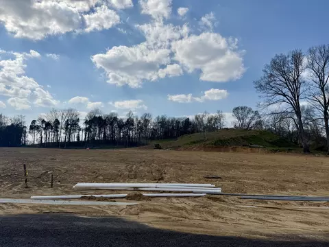 533 Divine Ct, Arrington, TN 37014