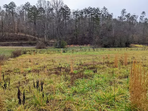 49 Morning Dunn Dr, Reliance, TN 37369