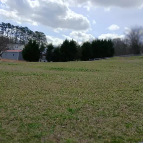 173 Claire St, Benton, TN 37307