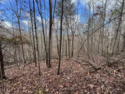 0 Smyrna Rd, Evensville, TN 37332