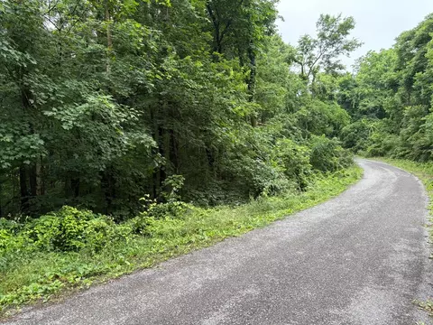 0 Ivy Hollow Rd, Mount Pleasant, TN 38474