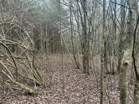 0 Hen House Rd, Sequatchie, TN 37374 photo 7