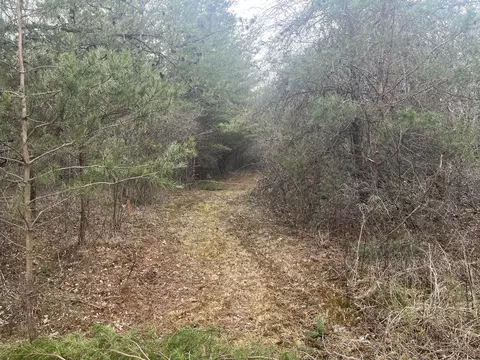 0 Hen House Rd, Sequatchie, TN 37374 photo 3