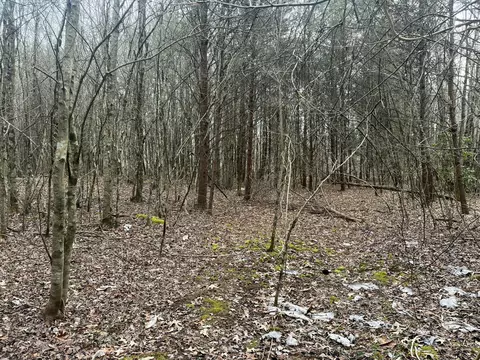 0 Hen House Rd, Sequatchie, TN 37374 photo 8