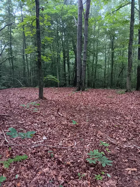 0 Logger Ln, Cedar Grove, TN 38321