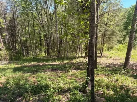 12 Bivens Ct, Niota, TN 37826