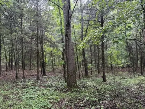 0 Freeze Rd, Morrison, TN 37357 photo 2