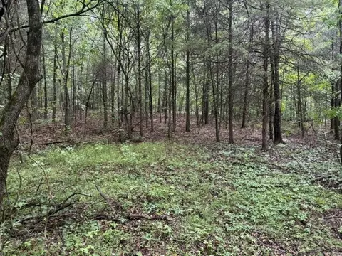 0 Freeze Rd, Morrison, TN 37357 photo 3