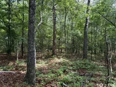 0 Freeze Rd, Morrison, TN 37357 photo 2