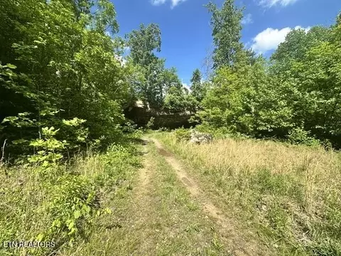 0 Bear Knob Ln, Crawford, TN 38554