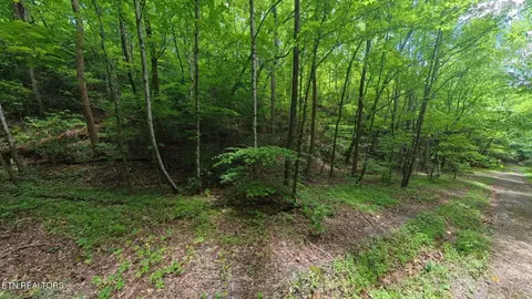 195 Sherwood Ln, Harriman, TN 37748
