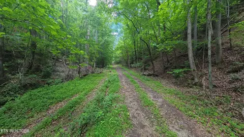 195 Sherwood Ln, Harriman, TN 37748