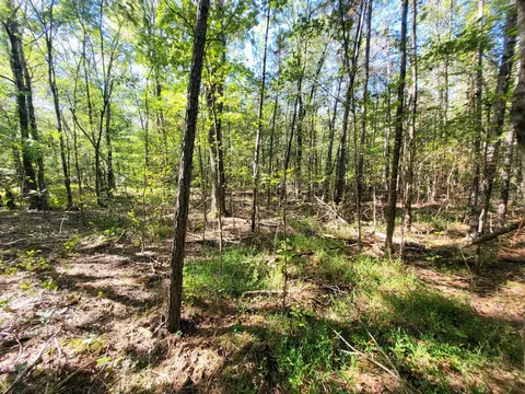 3 Coal Banks Rd, Sparta, TN 38583