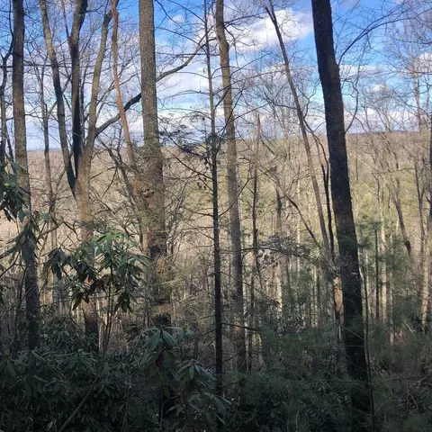 450 Holder Cemetery Rd, Tellico Plains, TN 37385