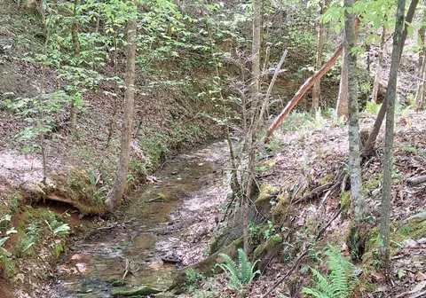 0 Payne Rd, Tellico Plains, TN 37385