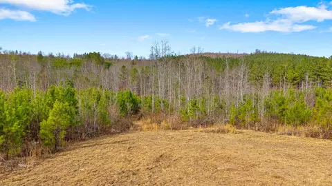 0 Redman Ln, Decatur, TN 37322