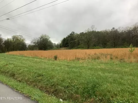 161 Woods Hollow Rd, Decatur, TN 37322