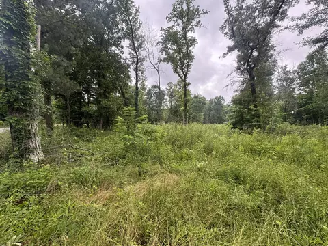 0 Spur Rd, Decherd, TN 37324 photo 7